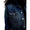 AG womens Robyn Fitted Denim Jacket(9 Years Enchantment)
